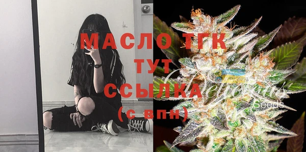 стафф Вязьма