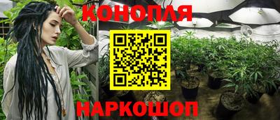 трава Балахна