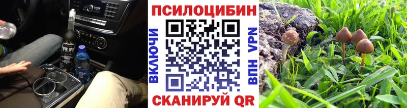 Псилоцибиновые грибы Psilocybe  OMG онион  Десногорск  купить наркоту 